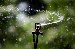 Sprinkler Irrigation - Sprinkler head